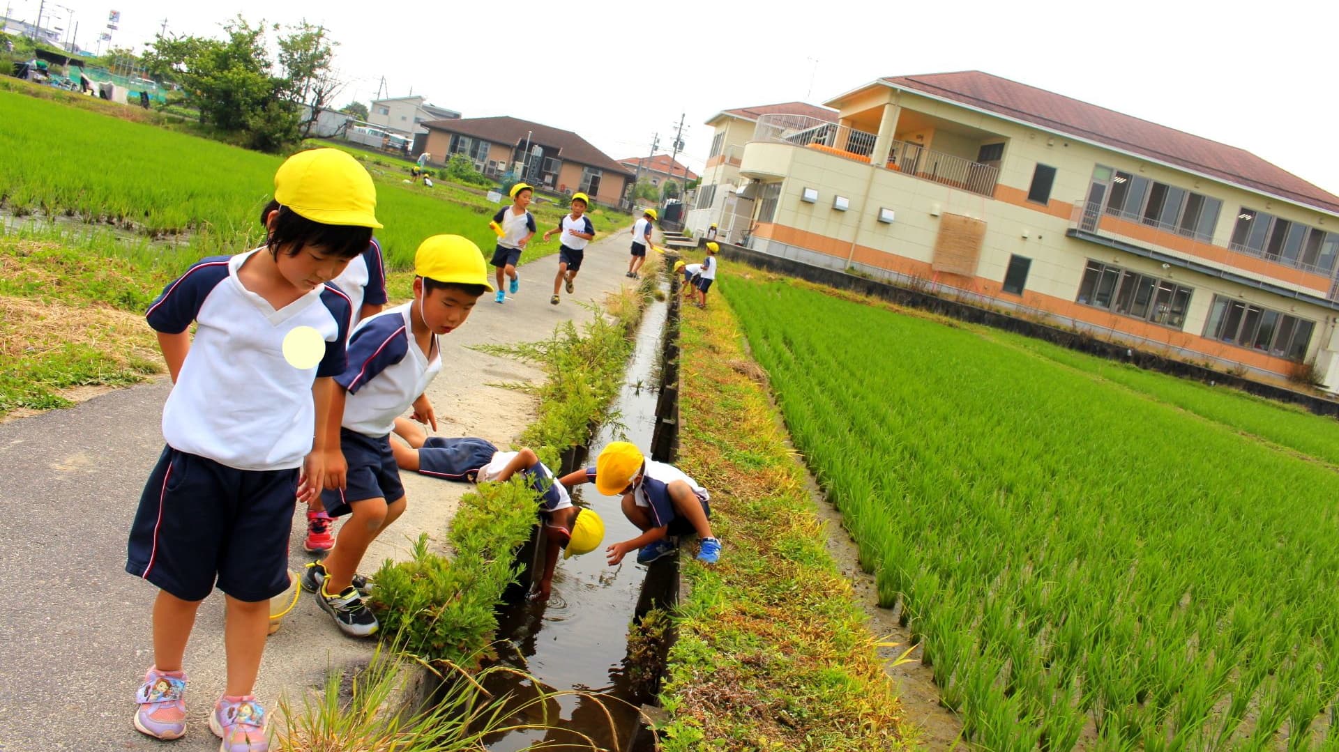 認定こども園みのり園舎